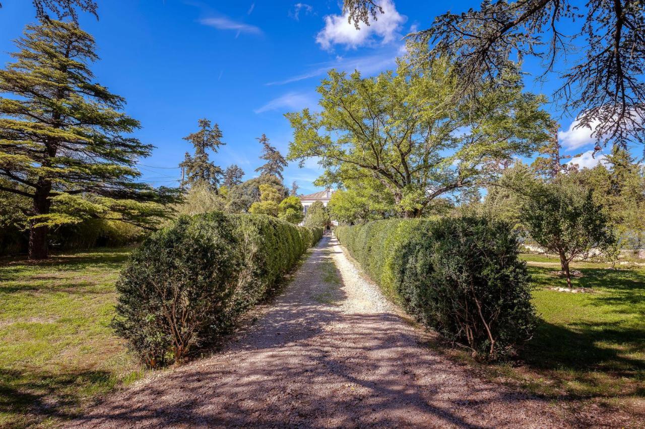 B&B En Provence- Villa Saint Marc Forcalquier Exterior photo